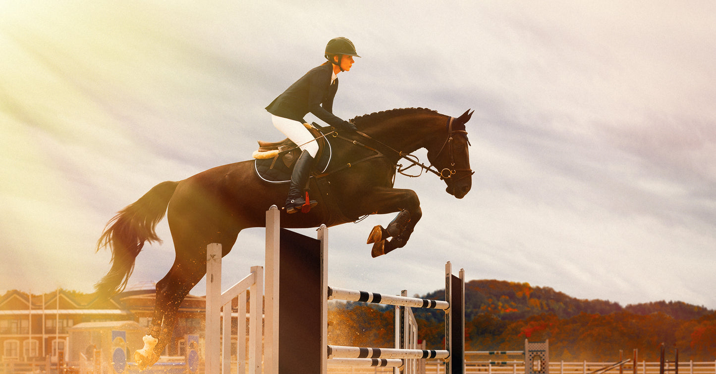 Equestrian Show Jumping Kits