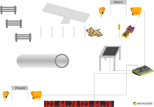 Microgate Dog Sports Timing
