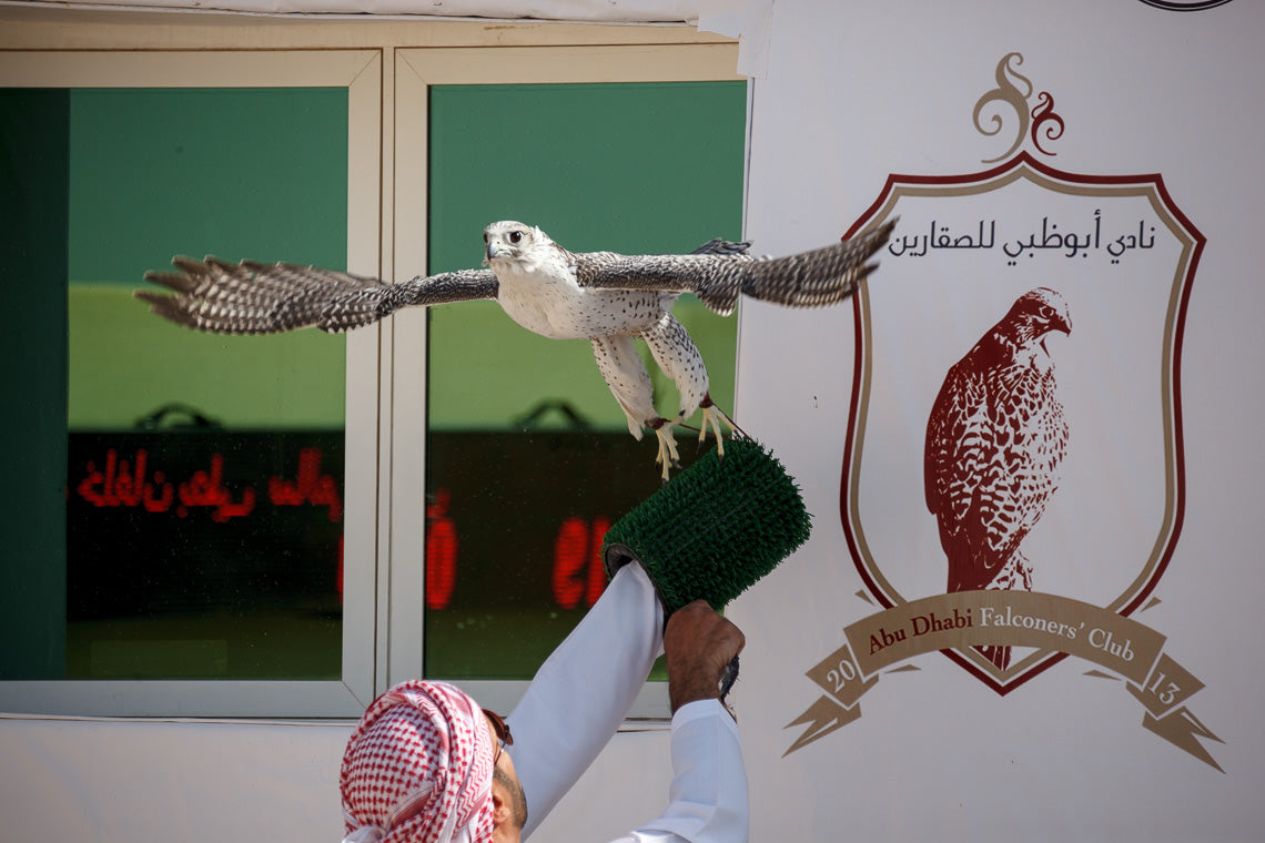 Falconry Time Keeping Kit