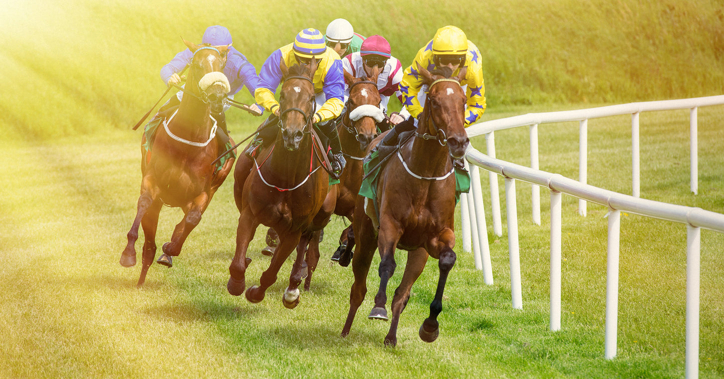 Horse Racing Time Keeping Kits
